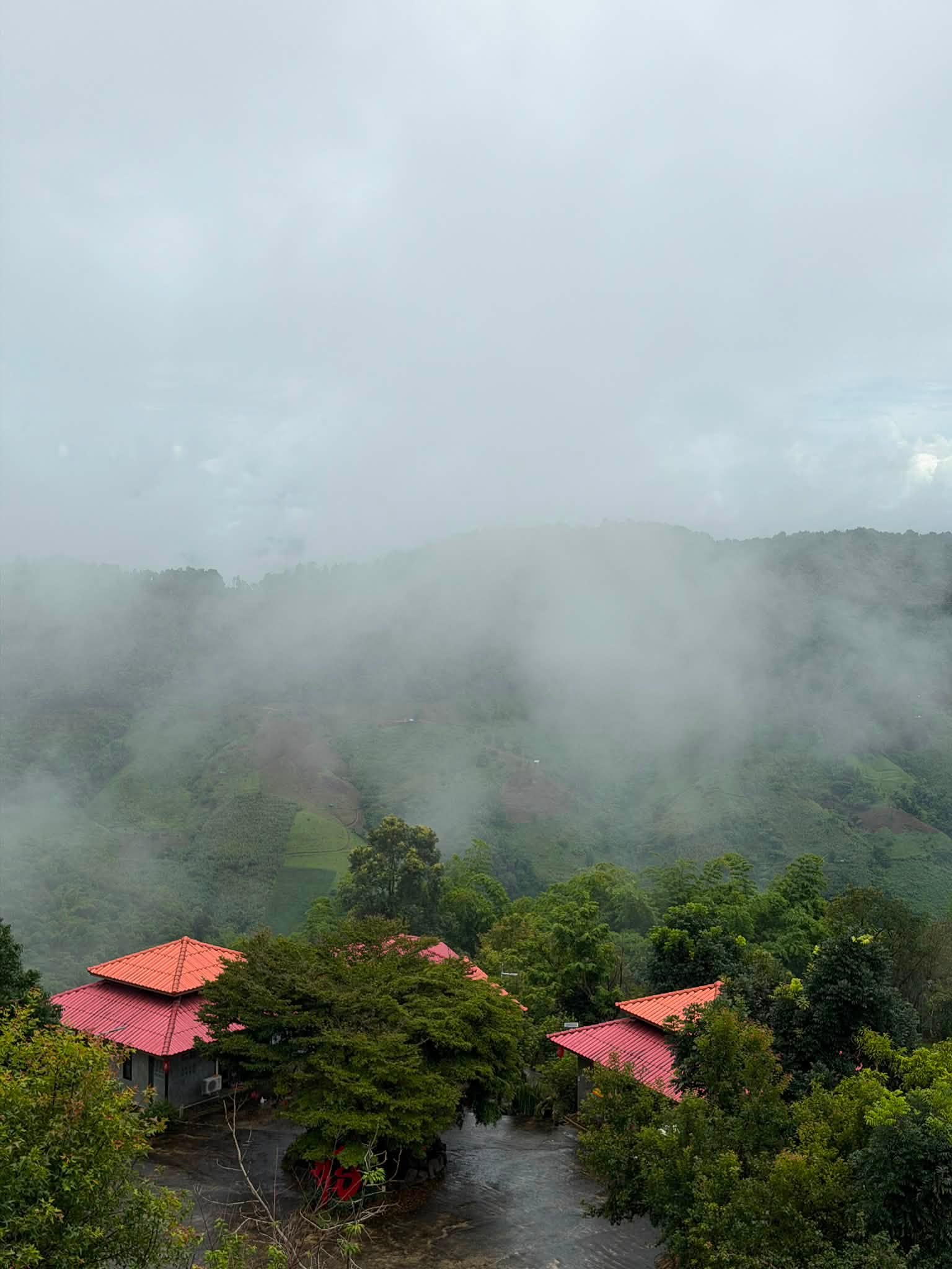 Phumektawan Resort Doi Mae Salong | Chiang Rai