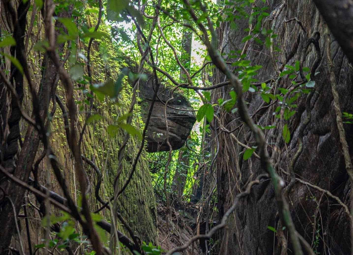 Nakee Cave, Phu Langka National Park | Nakhon Phanom
