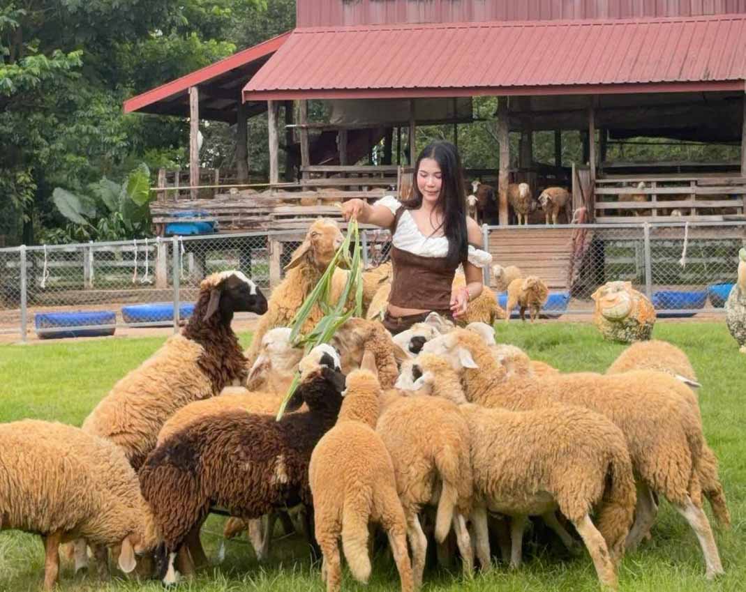Farm Hug, Sakon Nakhon-Na Kae Road | Sakon Nakhon