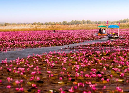 Nong Han Lake, Thatchoengchum Subdistrict | Sakon Nakhon