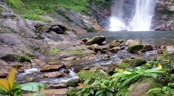 Tai Rom Yen National Park | Surat Thani 
