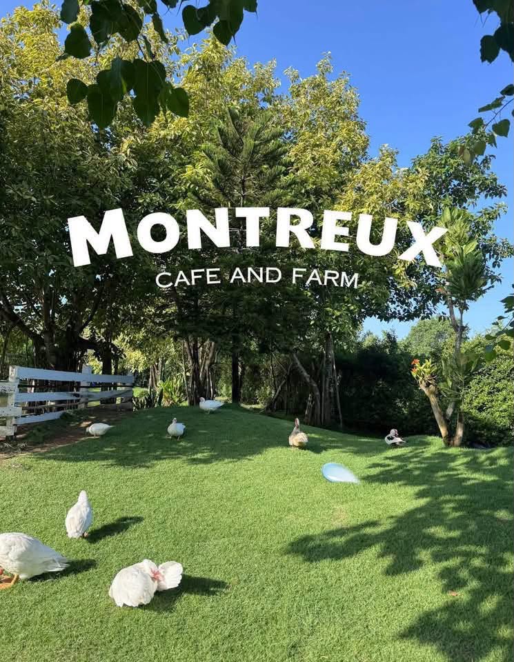 Montreux Café & Farm | Nakhon Nayok
