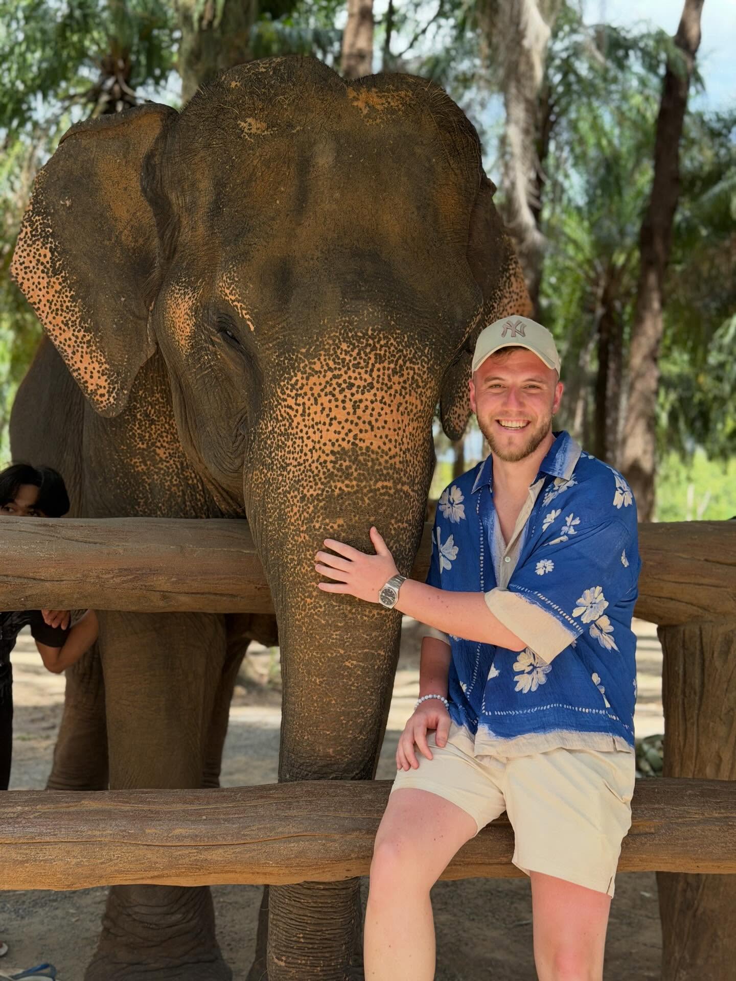 Conservation and care activities for Thai elephants at Krabi Elephant Shelter | Krabi