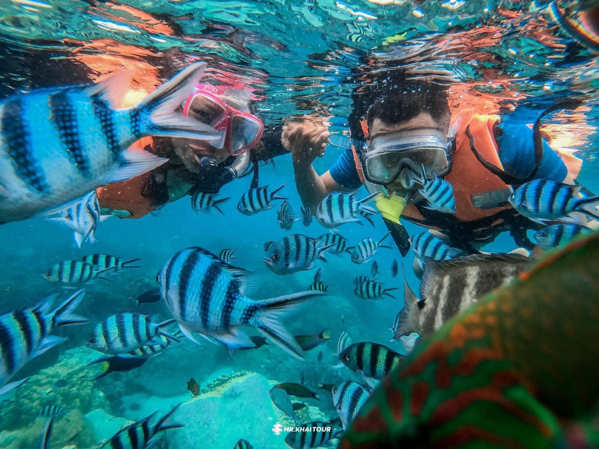 Guided tour by Pom In Tour – Full-day 4-island snorkeling trip, pick-up in Koh Chang | Trat Province